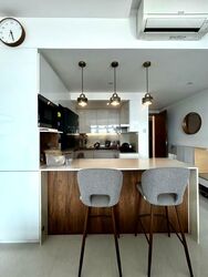 City Square Residences (D8), Condominium #476970751